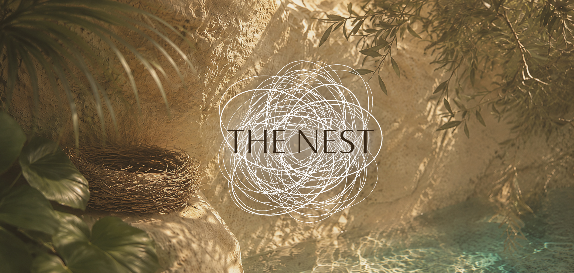 Domus Vivendi Group kündigt neues Luxus-Apartmentprojekt THE NEST auf Ibiza an