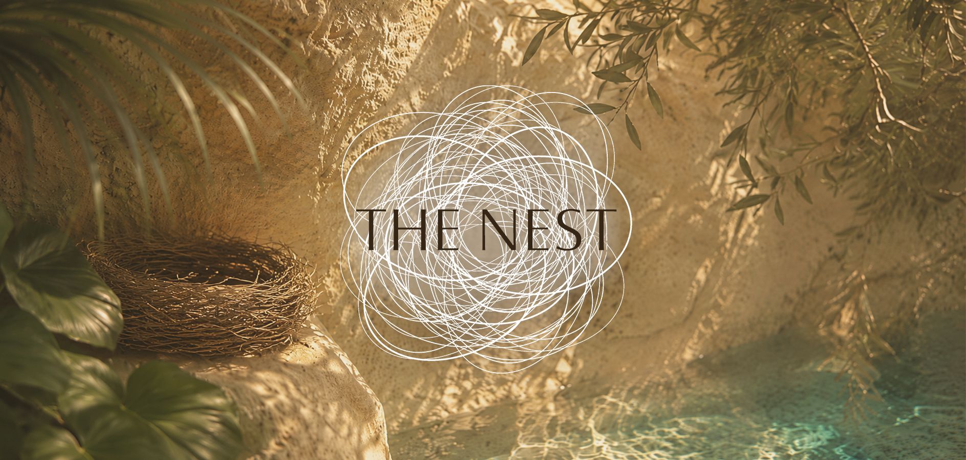 THENEST_Videobild_WEB